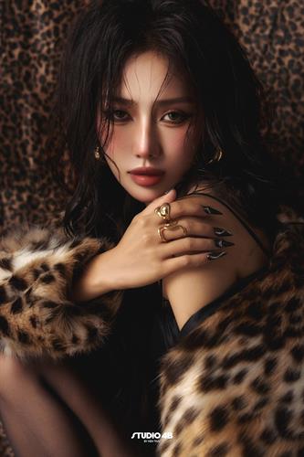 LEOPARD6