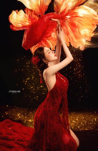 DIỄM NGƯ7